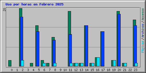 Uso por horas en Febrero 2025