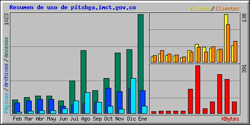 Resumen de uso de pitsbga.imct.gov.co
